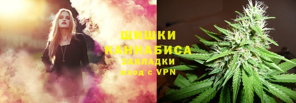 2c-b Мегион