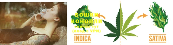 2c-b Мегион