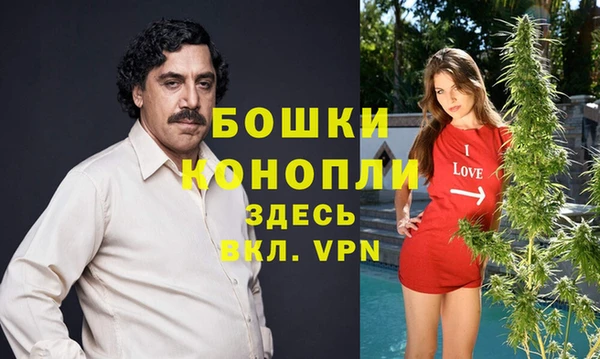 альфа пвп Медногорск