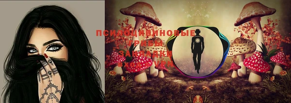 альфа пвп Медногорск